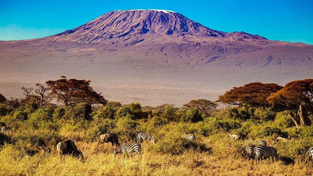Kilimandscharo, Safari, Kenia