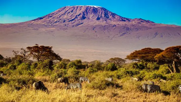 (12.) Foto-Impressionen zu: Kilimandscharo, Safari, Kenia