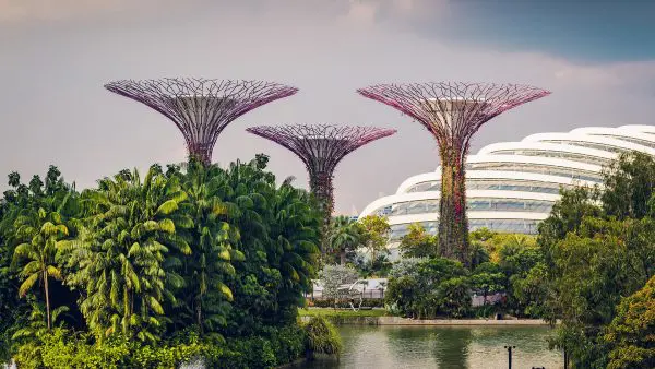 (9.) Foto-Impressionen zu: Gardens by the Bay, Singapur