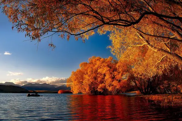 (14.) Foto-Impressionen zu: Tekapo See, Neuseeland