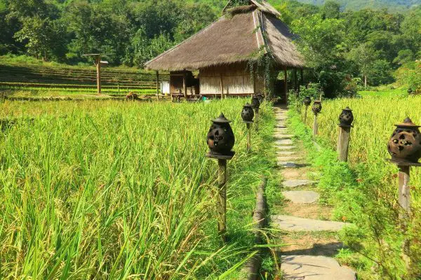 (11.) Foto-Impressionen zu: Bauernhaus, Laos