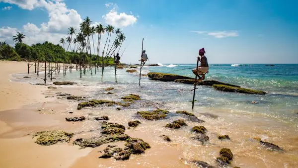 (2.) Foto-Impressionen zu: Mirissa Beach, Mirissa, Sri Lanka