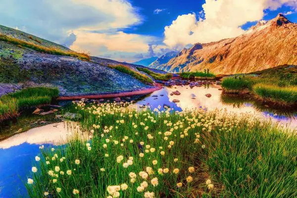 (11.) Foto-Impressionen zu: Naturlandschaft, Neuseeland