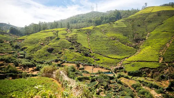 (3.) Foto-Impressionen zu: Nuwara Eliya, Sri Lanka