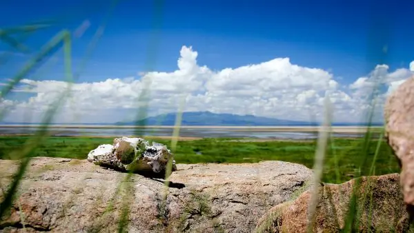 (1.) Foto-Impressionen zu: Lake Manyara, Tansania