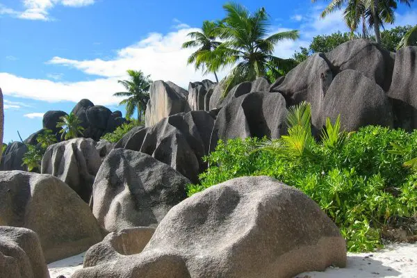 (3.) Foto-Impressionen zu: Granitsteine und Palmen, Seychellen
