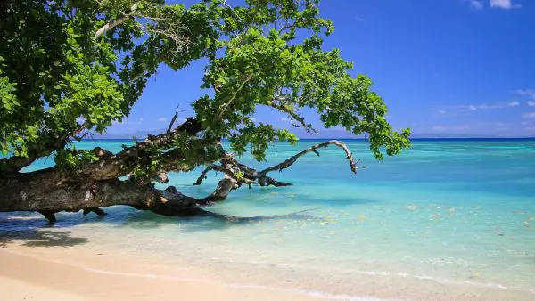 (19.) Foto-Impressionen zu: Taveuni Island, Fidschi