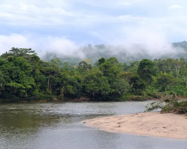 (2.) Foto-Impressionen zu: Reiseangebote Archidona, Ecuador