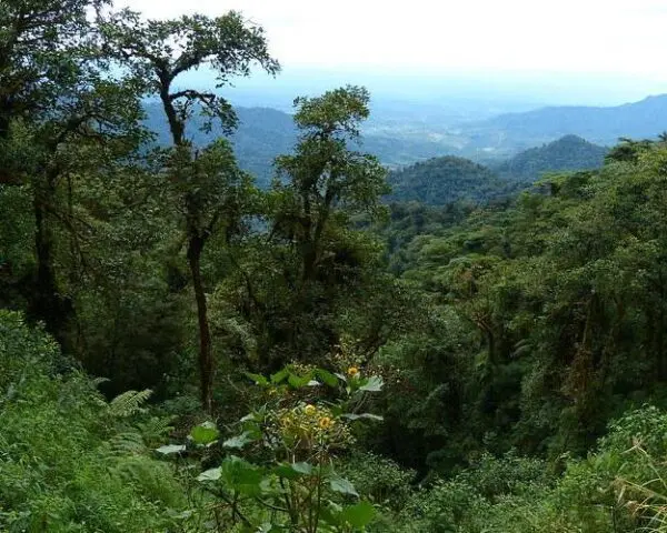 (1.) Foto-Impressionen zu: Reiseangebote Archidona, Ecuador