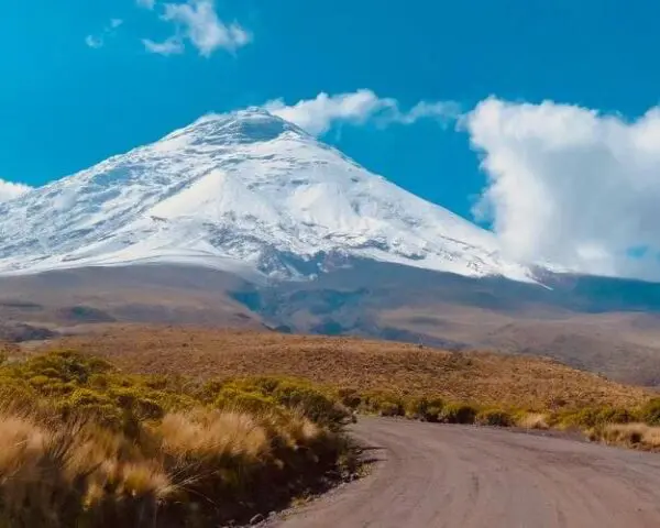 (3.) Foto-Impressionen zu: Reiseangebote Cotopaxi