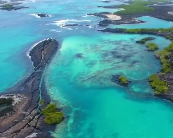 (2.) Foto-Impressionen zu: Reiseangebote Isabela Island