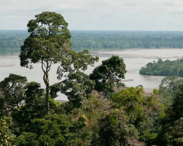 (2.) Foto-Impressionen zu: Reiseangebote Napo (Province)