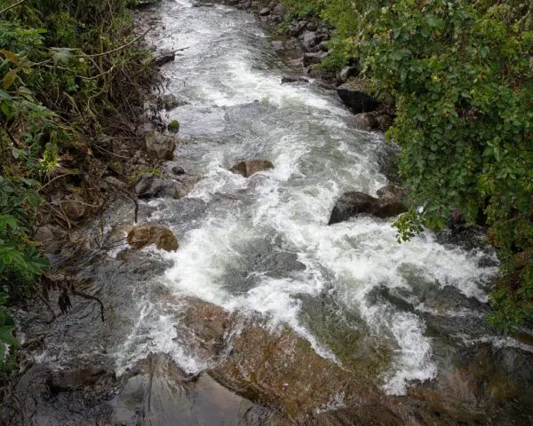 (2.) Foto-Impressionen zu: Reiseangebote Papallacta