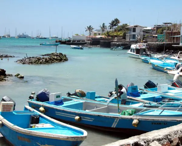 (5.) Foto-Impressionen zu: Reiseangebote Puerto Ayora