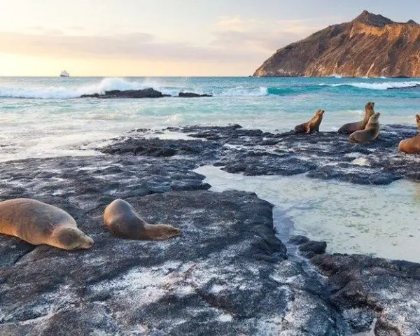 (1.) Foto-Impressionen zu: Reiseangebote San Cristobal Island