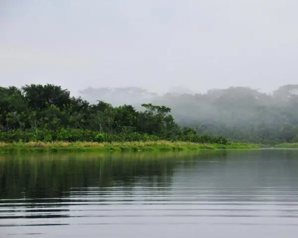 (5.) Foto-Impressionen zu: Reiseangebote Yasuni National Park