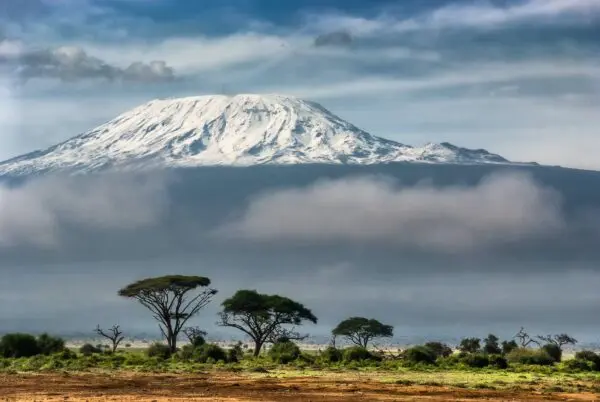 Foto von Kilimanjaro Nationalpark