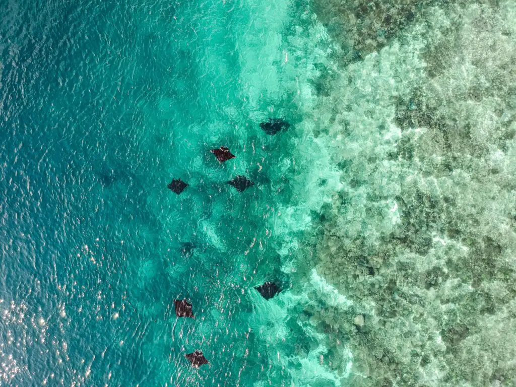 Labuan Bajo - Indonesien