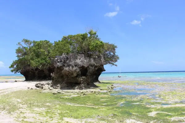Foto von Pemba Island