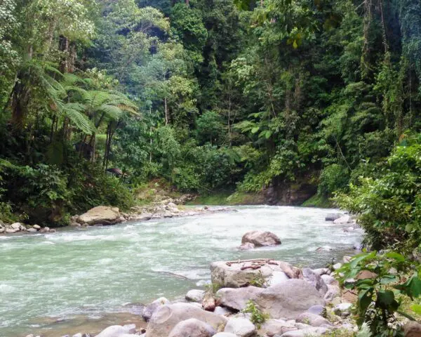(2.) Foto-Impressionen zu: Reiseangebote Bukit Lawang