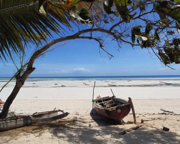 (2.) Foto-Impressionen zu: Reiseangebote Kizimkazi