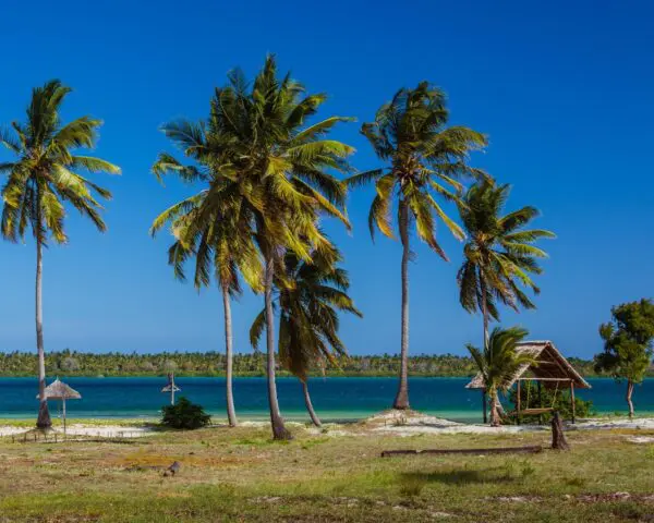 (1.) Foto-Impressionen zu: Reiseangebote Mafia Island