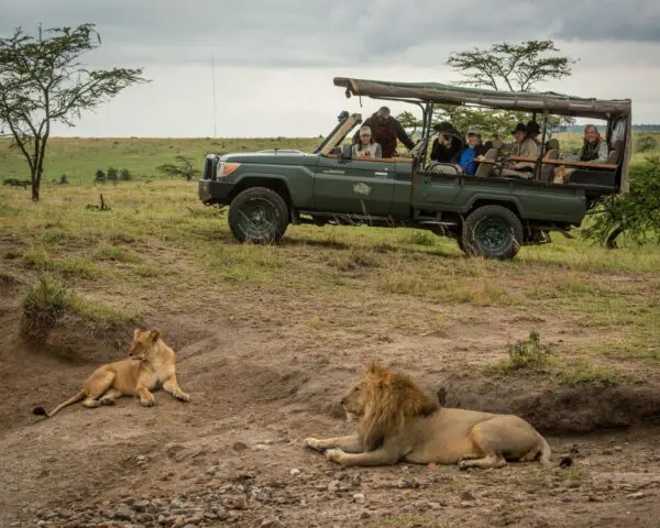 (1.) Foto-Impressionen zu: Reiseangebote Ngorongoro