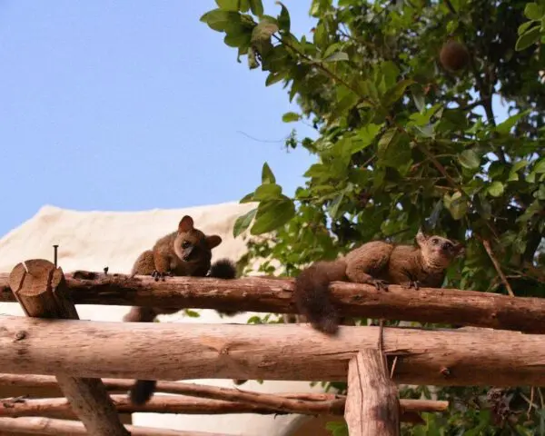 (2.) Foto-Impressionen zu: Reiseangebote Nungwi
