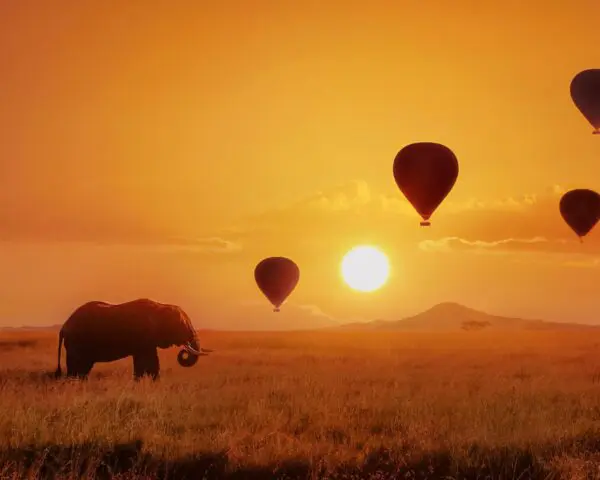 (3.) Foto-Impressionen zu: Reiseangebote Serengeti (Tanzania)