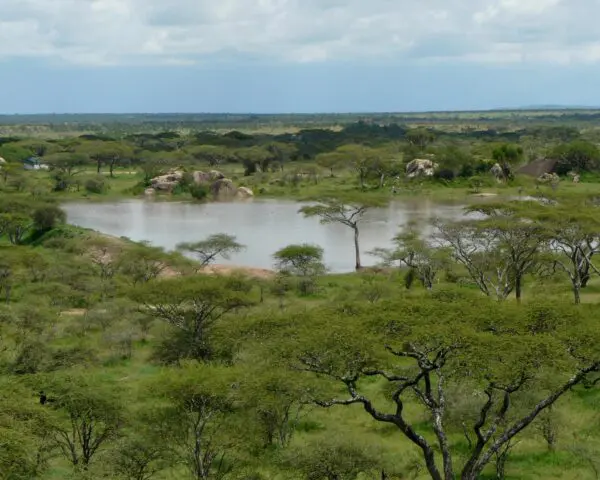 (1.) Foto-Impressionen zu: Reiseangebote Seronera (Serengeti)