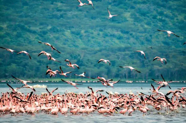 Foto von Nakuru