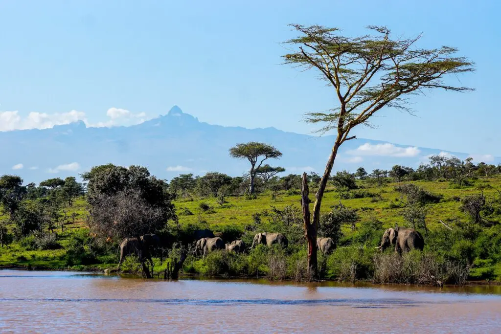 Mount Kenia Nationalpark