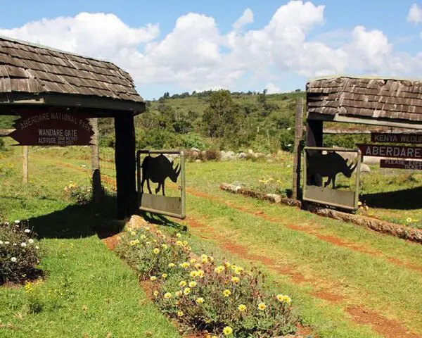 (1.) Foto-Impressionen zu: Reiseangebote Aberdare National Park