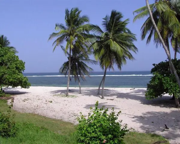 (1.) Foto-Impressionen zu: Reiseangebote Tiwi Beach