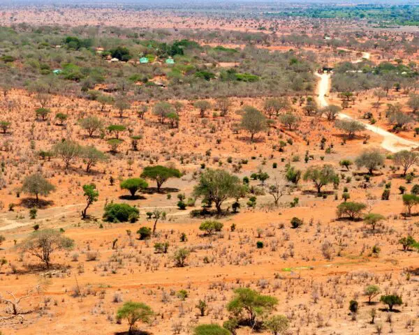 Foto von Tsavo Nationalpark