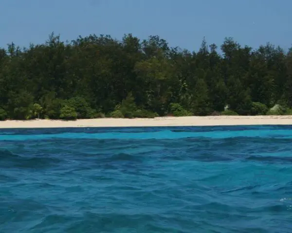 (2.) Foto-Impressionen zu: Denis Island, Seychellen
