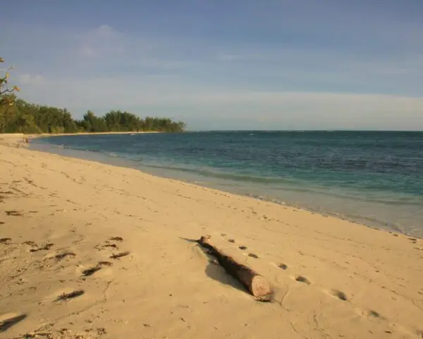 (1.) Foto-Impressionen zu: Reiseangebote Denis Island