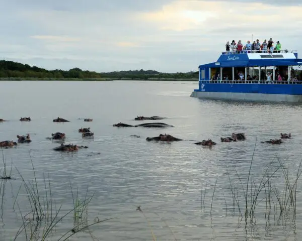 (1.) Foto-Impressionen zu: Reiseangebote iSimangaliso Feuchtgebiet Park