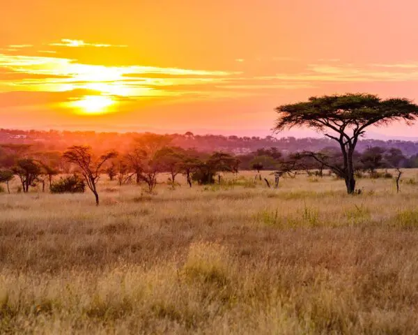 Foto von Umtata