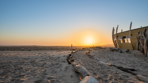 Foto von Möwe Bay