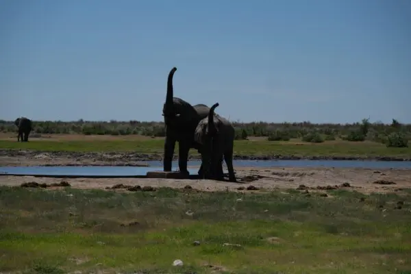 Foto von Katima Mulilo