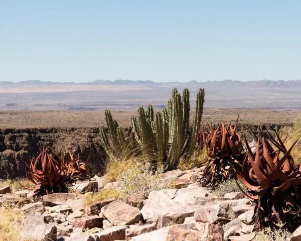 (3.) Foto-Impressionen zu: Reiseangebote Fish River Canyon