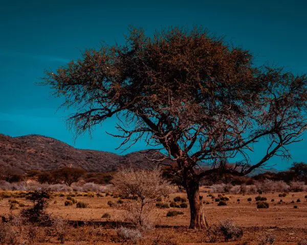 (2.) Foto-Impressionen zu: Reiseangebote Khomas (Region), Namibia