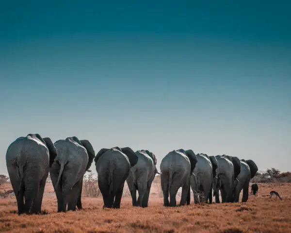 (3.) Foto-Impressionen zu: Reiseangebote Khomas (Region), Namibia