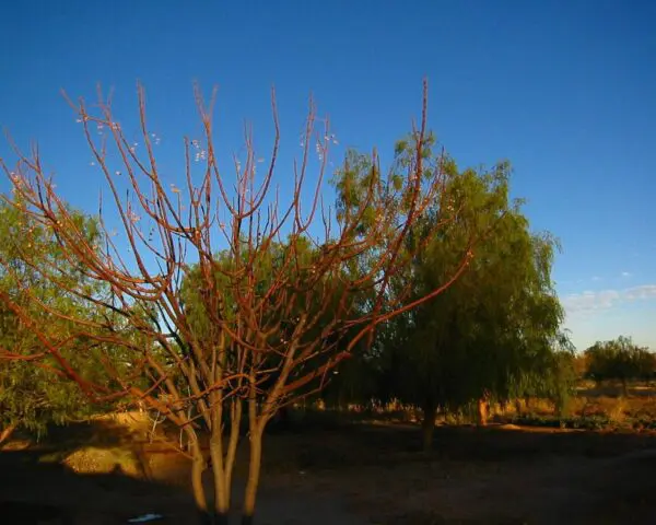 (1.) Foto-Impressionen zu: Reiseangebote Mariental