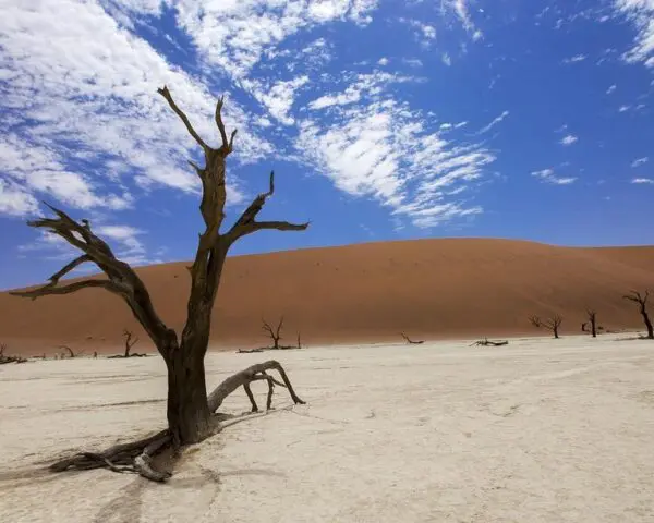 (1.) Foto-Impressionen zu: Reiseangebote Sossusvlei
