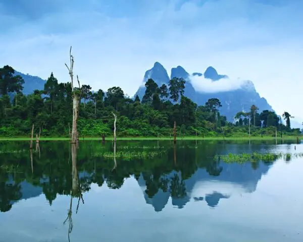 (2.) Foto-Impressionen zu: Reiseangebote Khao Sok National Park