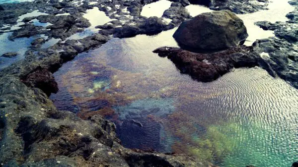 (3.) Foto-Impressionen zu: