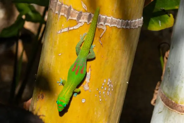 (3.) Foto-Impressionen zu: