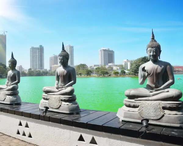 (2.) Foto-Impressionen zu: Reiseangebote Colombo